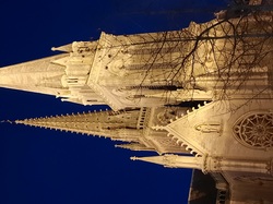 JANVIER 2021 PHOTOS DE LA BASILIQUE